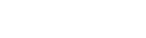 Pocket OS